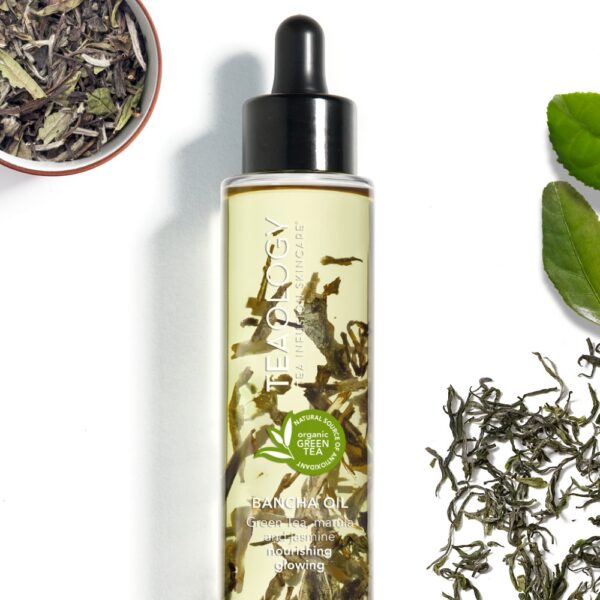 Teaology Bancha õli näole, kehale, juustele 100 ml - Image 3